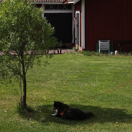 Mora Vandrarhem Och Gaesthem Vinäs Kültér fotó