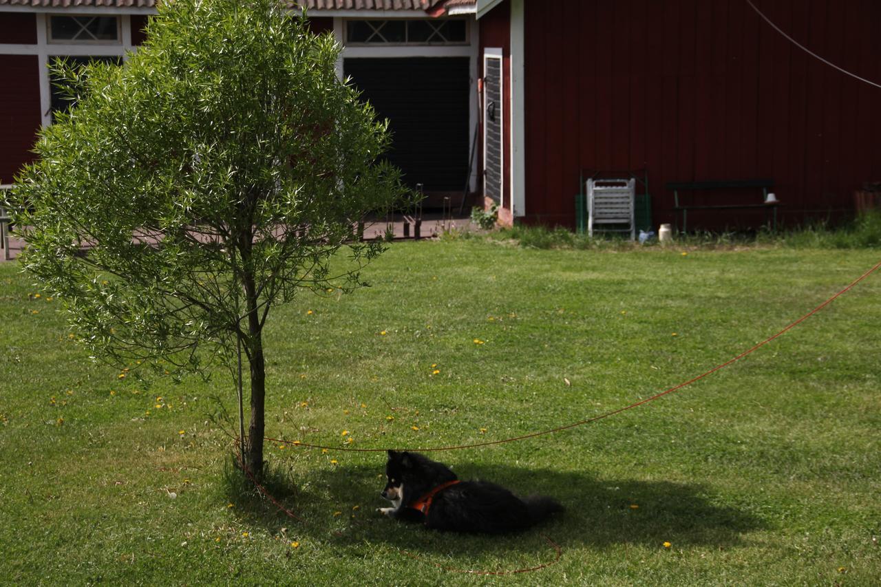 Mora Vandrarhem Och Gaesthem Vinäs Kültér fotó