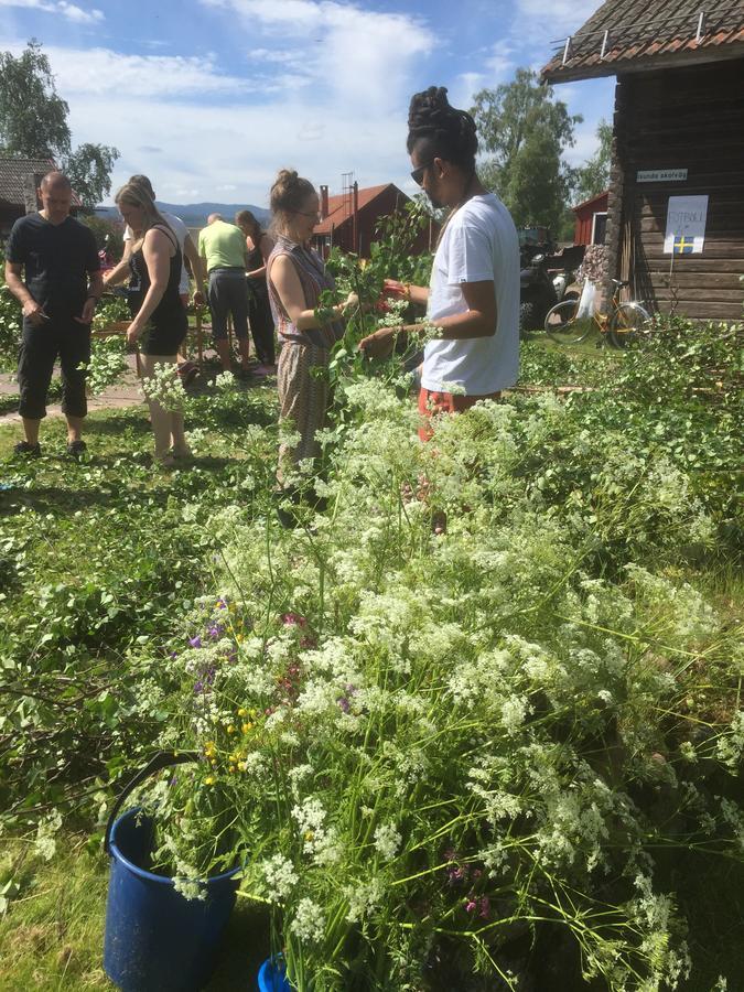 Mora Vandrarhem Och Gaesthem Vinäs Kültér fotó